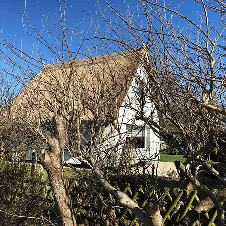 Strandhaus Duenenwind Dierhagen